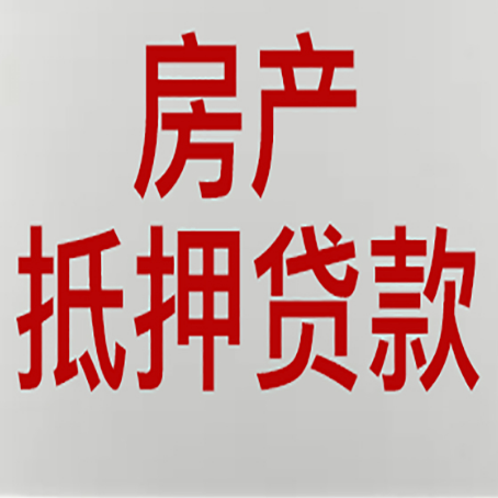 南部贷款公司新渝启服推荐选择